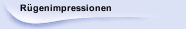R&uuml;genimpressionen